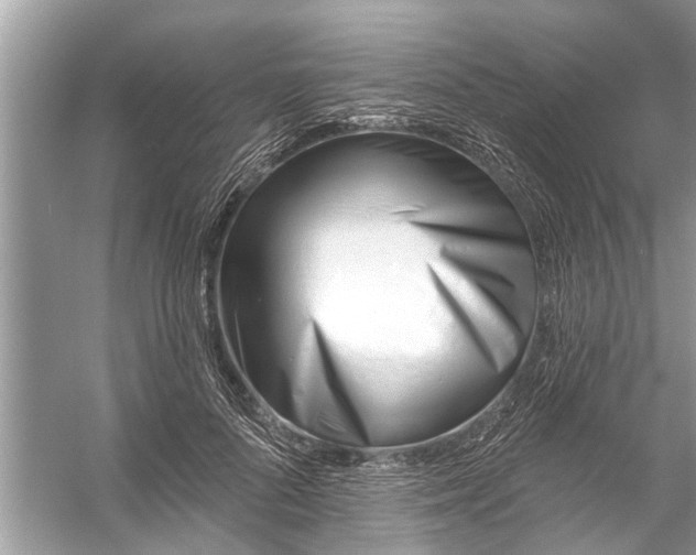 X0000056010696200509162344