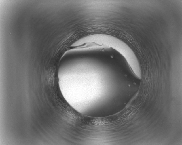 X0000056010697200509162344