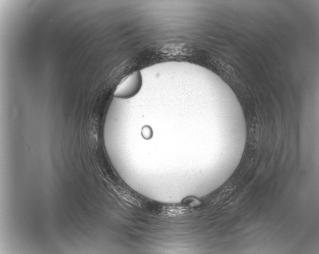 X0000056010710200509162344