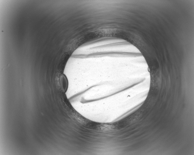 X0000056010718200509162344