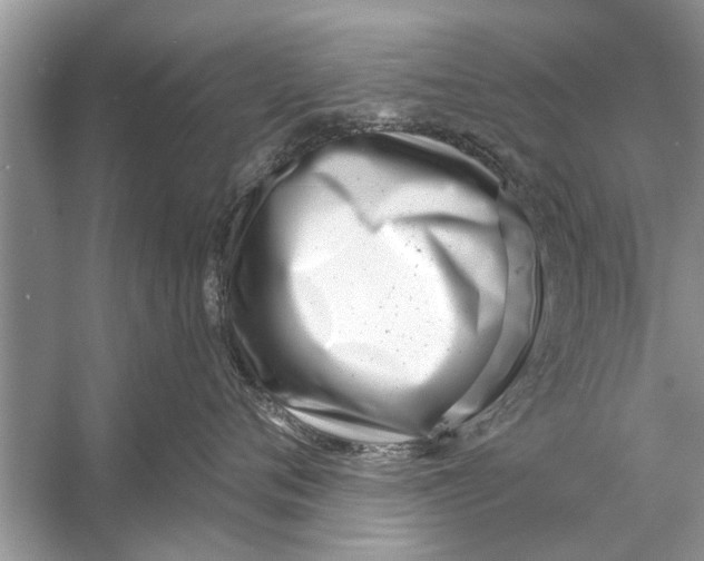 X0000056010720200509162344