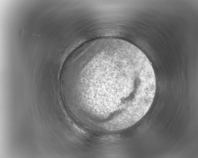 X0000056010721200509162343