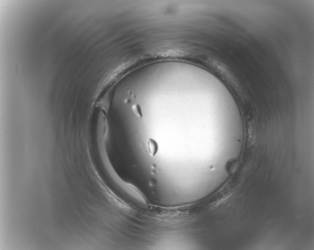 X0000056010725200509162343