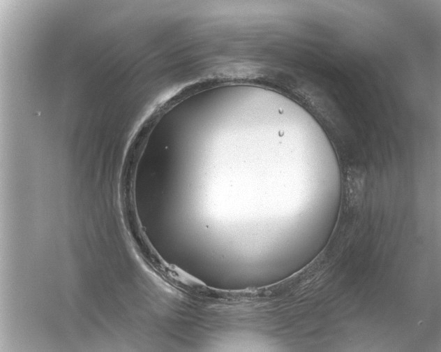 X0000056010726200509162343