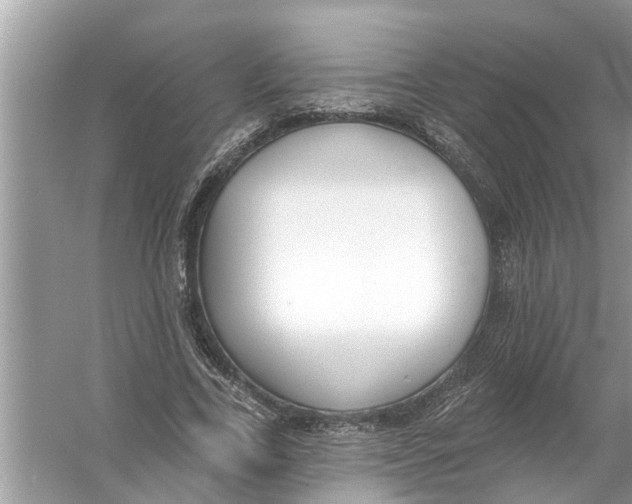 X0000056010731200509162343