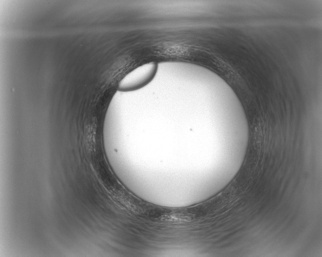 X0000056010739200509162343