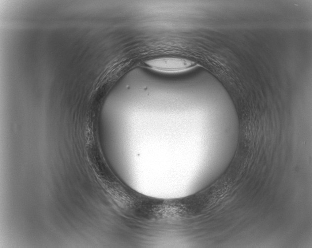 X0000056010743200509162343