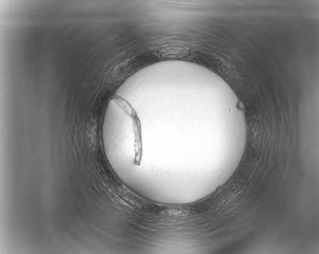 X0000056010745200509162343