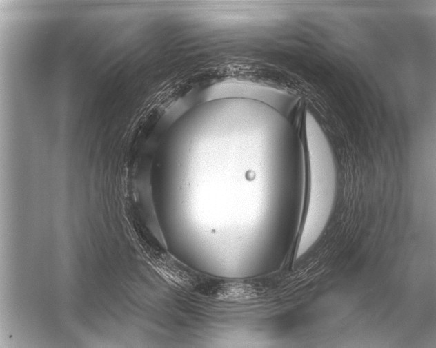 X0000056010750200509162343