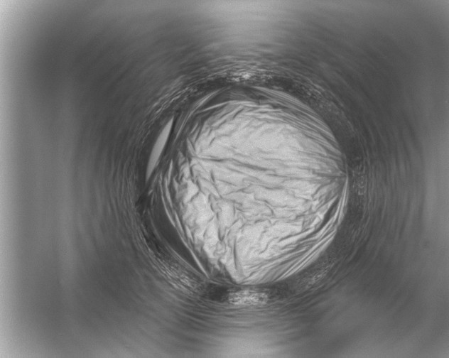 X0000056010754200509162344