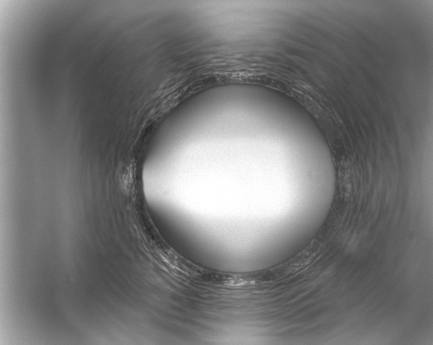 X0000056010760200509162344