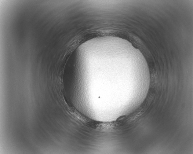 X0000056010765200509162344