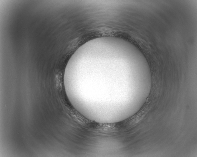 X0000056010768200509162344