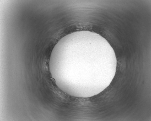 X0000056010770200509162343