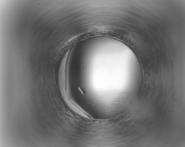 X0000056010773200509162343