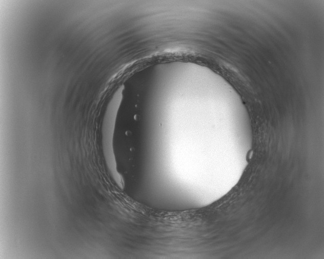 X0000056010776200509162343