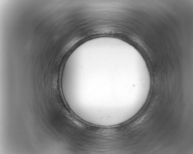 X0000056010778200509162343