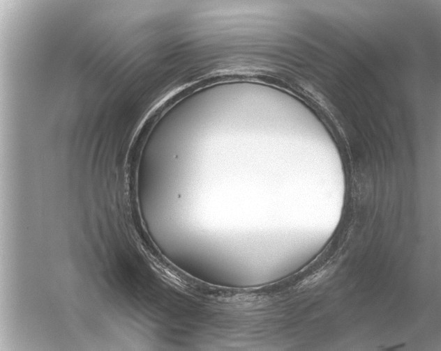 X0000056010779200509162343