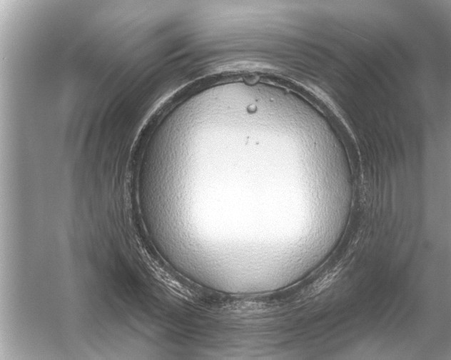 X0000056010783200509162343