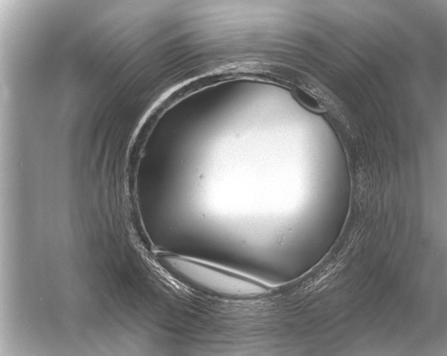 X0000056010784200509162343