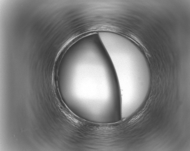 X0000056010788200509162343