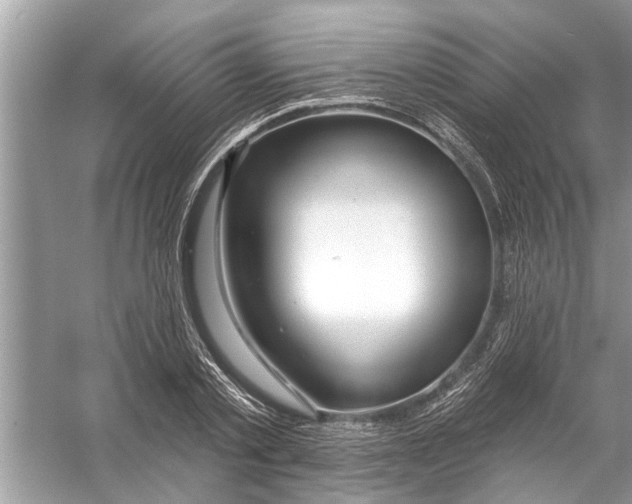 X0000056010789200509162343