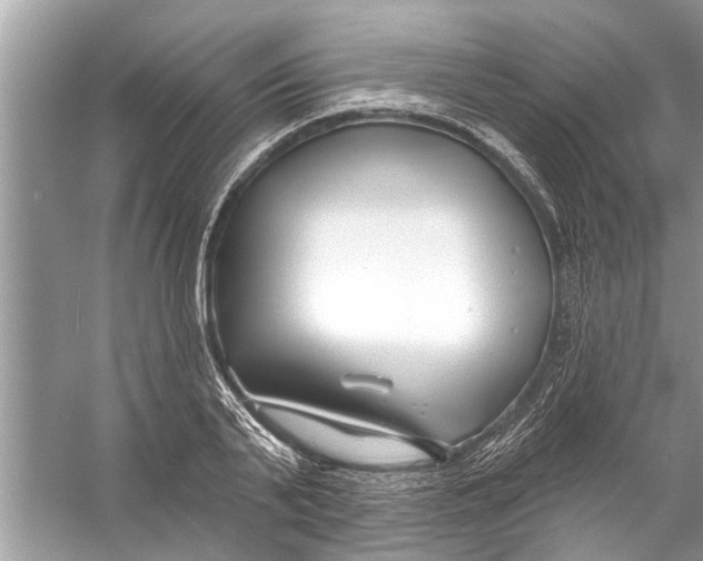 X0000056010791200509162343