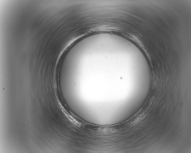 X0000056010795200509162343