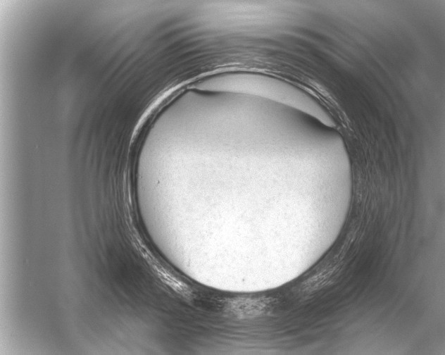 X0000056010796200509162342