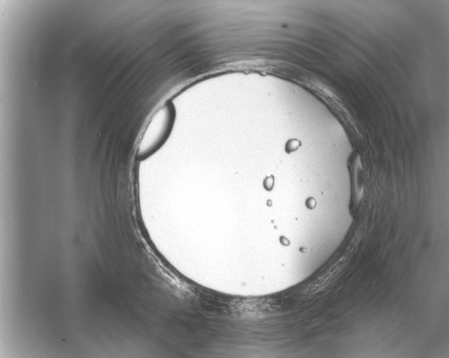 X0000056010808200509162342