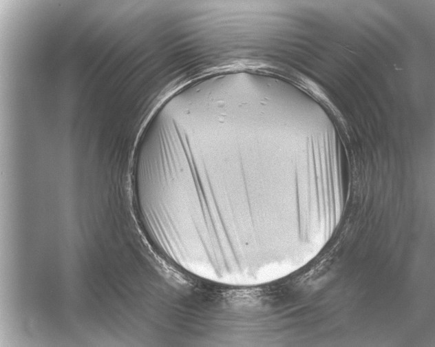 X0000056010810200509162342