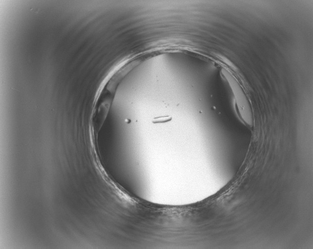 X0000056010812200509162342