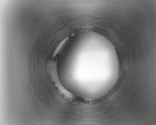 X0000056010818200509162341