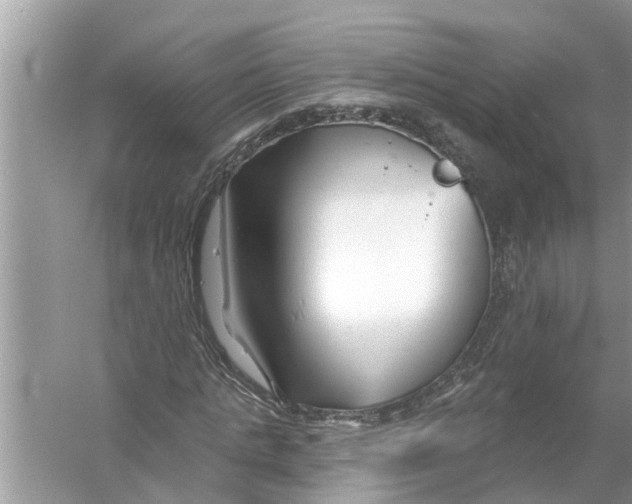 X0000056010821200509162341