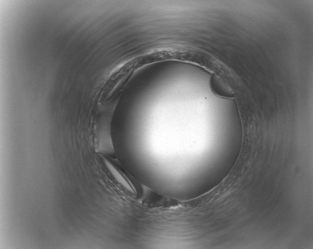 X0000056010822200509162341