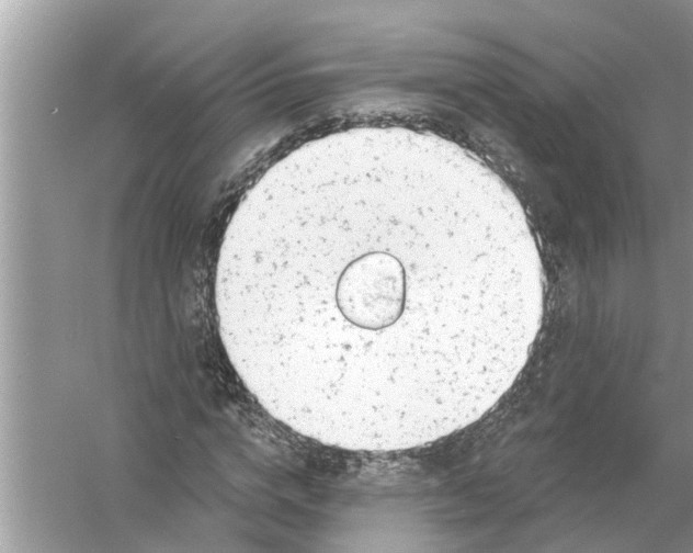 X0000056010824200509162341