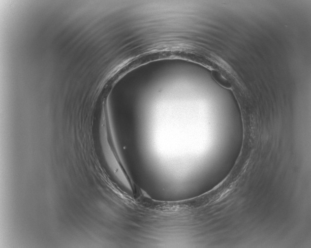 X0000056010826200509162341