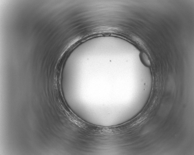 X0000056010827200509162342