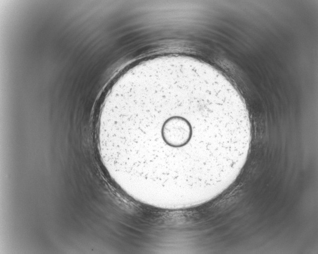 X0000056010828200509162342