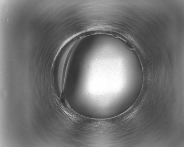 X0000056010830200509162342