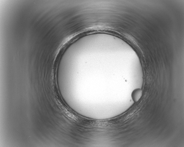 X0000056010831200509162342