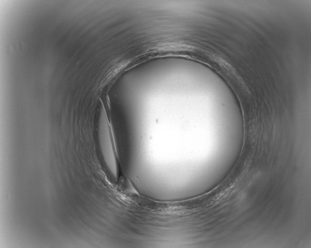 X0000056010833200509162342