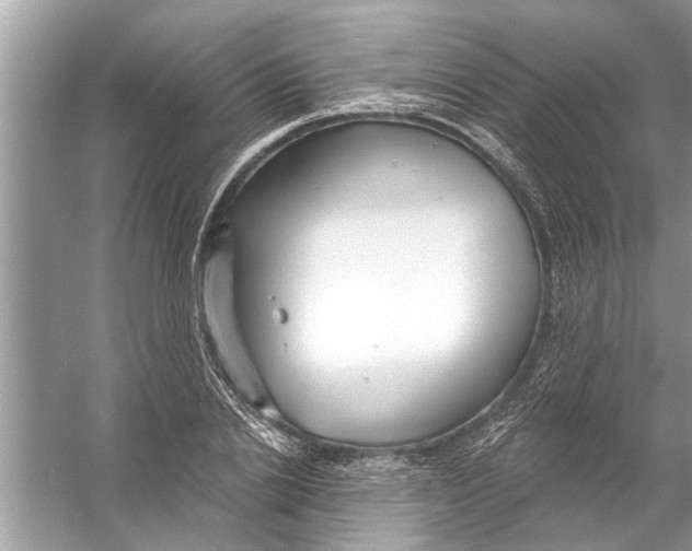 X0000056010838200509162342