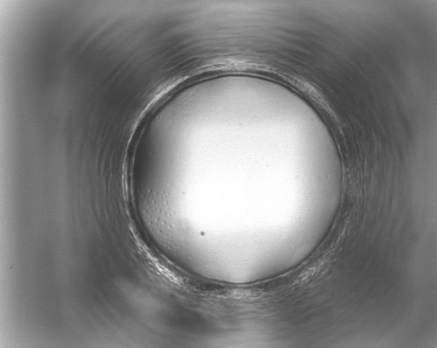 X0000056010839200509162342