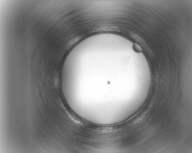 X0000056010841200509162342