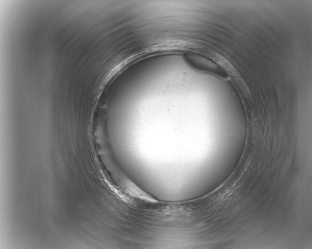 X0000056010842200509162342