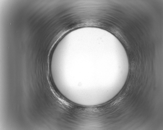 X0000056010844200509162342