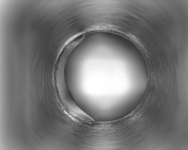 X0000056010846200509162342