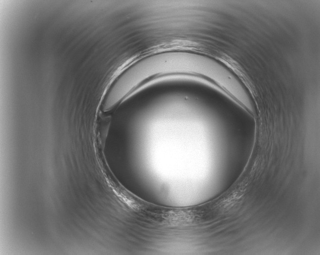 X0000056010850200509162342