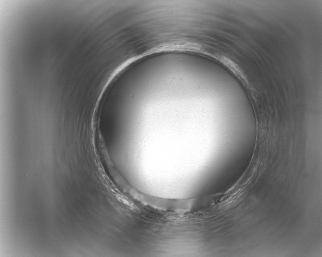 X0000056010854200509162342